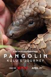 Nonton Film Pangolin: Kulu’s Journey (2025) Nonton Film Pangolin: Kulu’s Journey (2025)